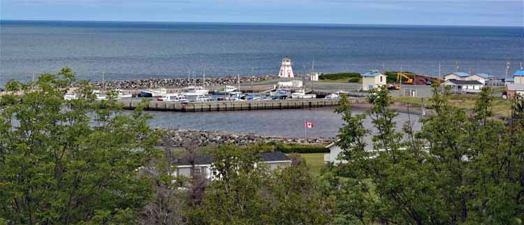 harbor
